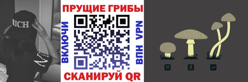 Галлюциногенные грибы Magic Shrooms  где продают наркотики  Малоархангельск 